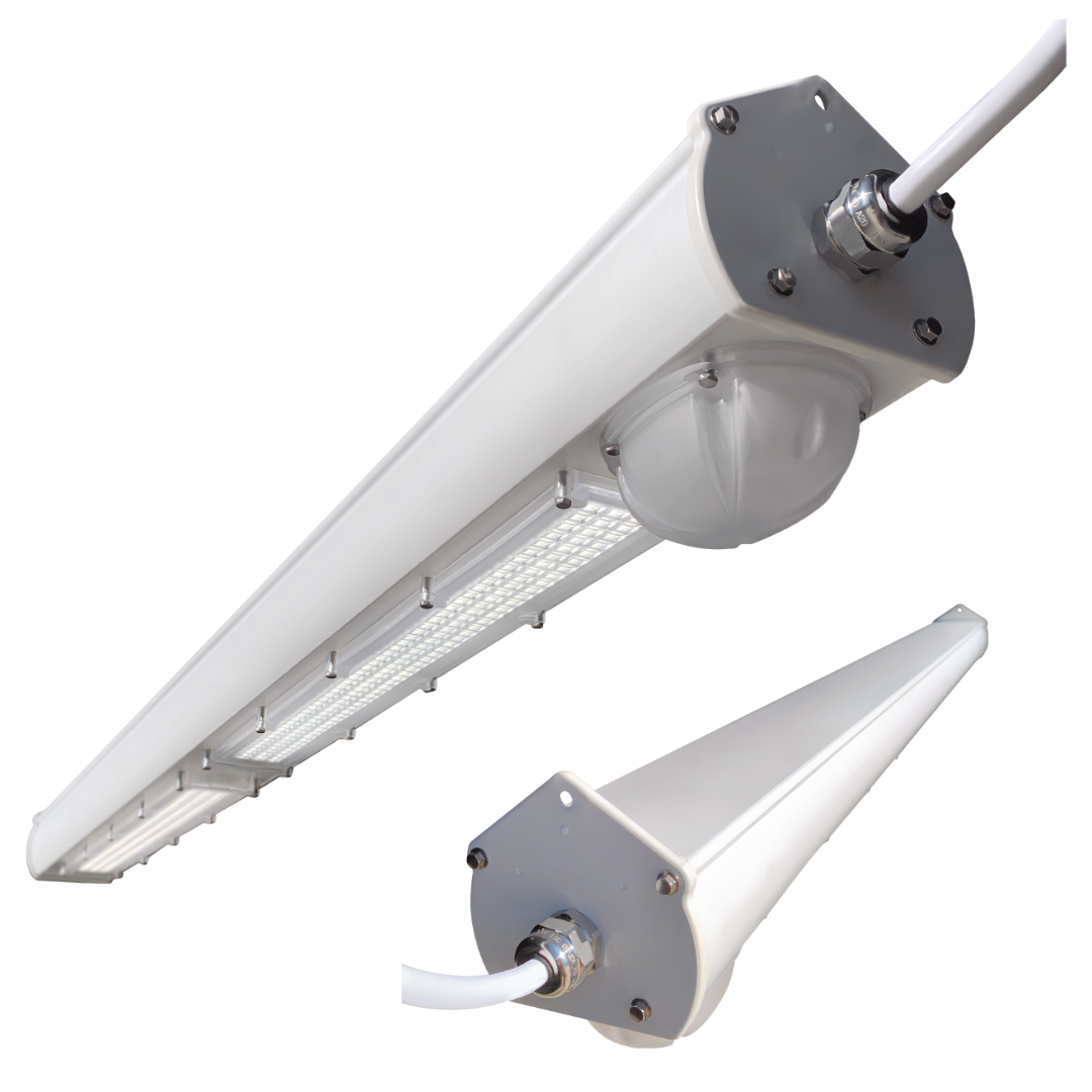 NSF 2 / Food Splash Zone Linear Highbay